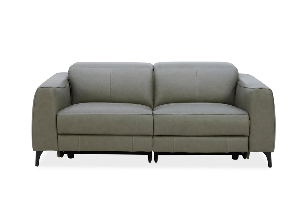 Milano Sofa Vintage Forest Dakota Leather