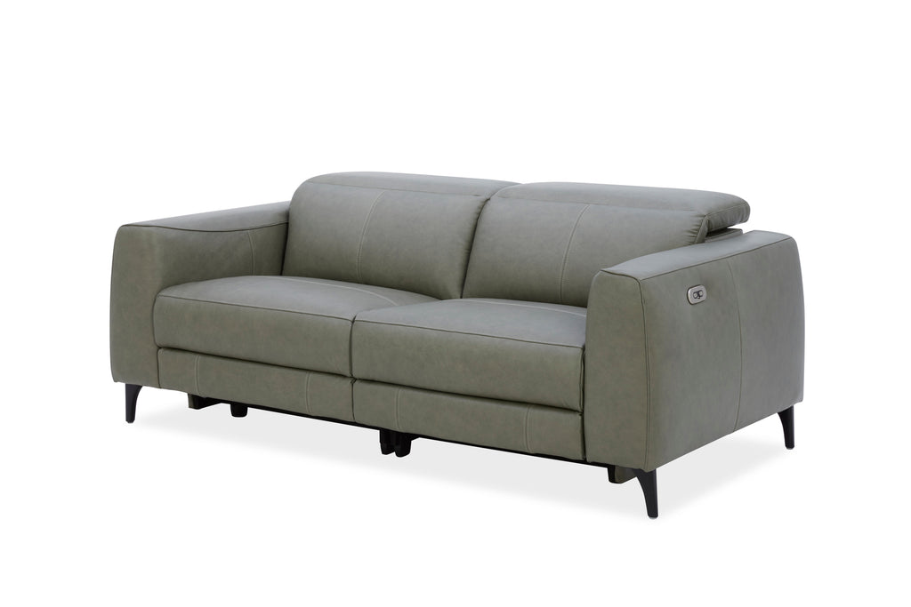 Milano Sofa Vintage Forest Dakota Leather