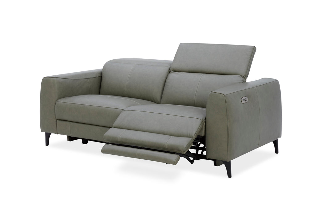 Milano Sofa Vintage Forest Dakota Leather